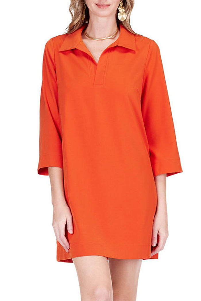 Placket Bell Sleeve Dress