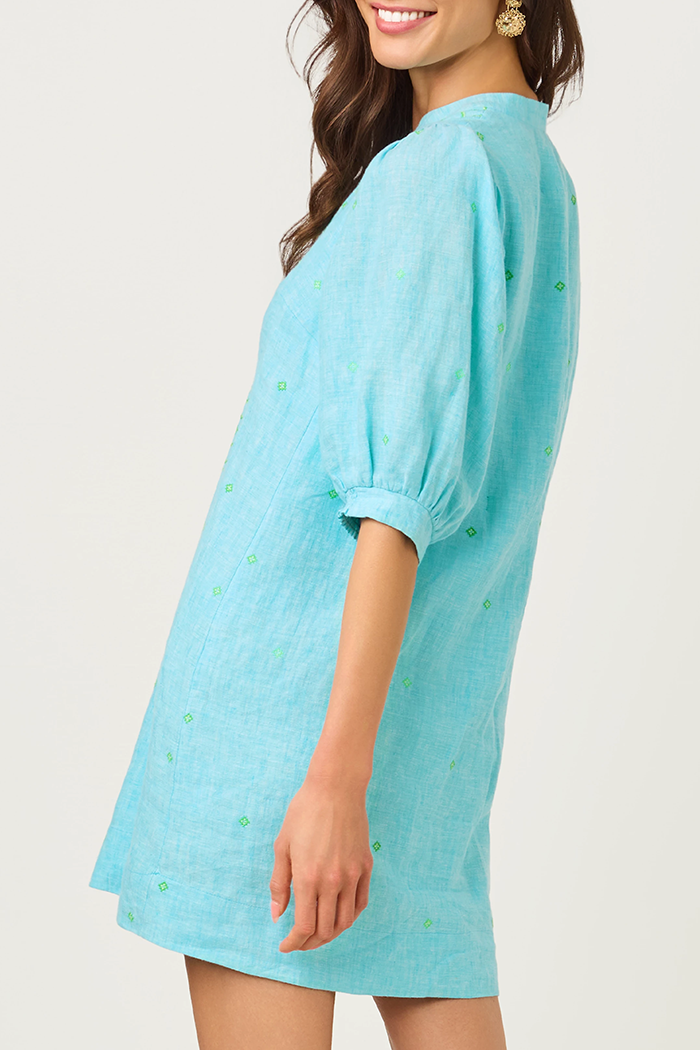 Embroidered Puff Sleeve Dress