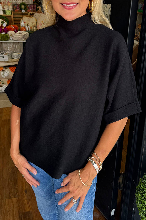 Solid Colored High Neck Sweater