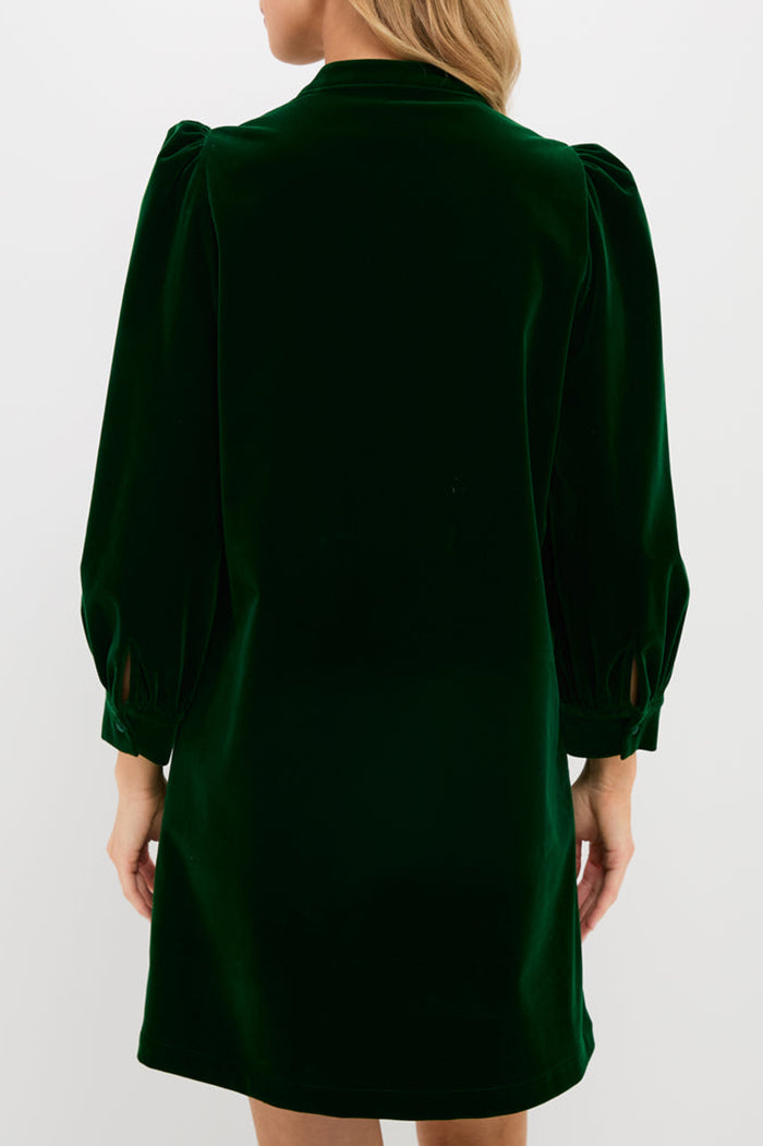 Casual Velvet Button Dress