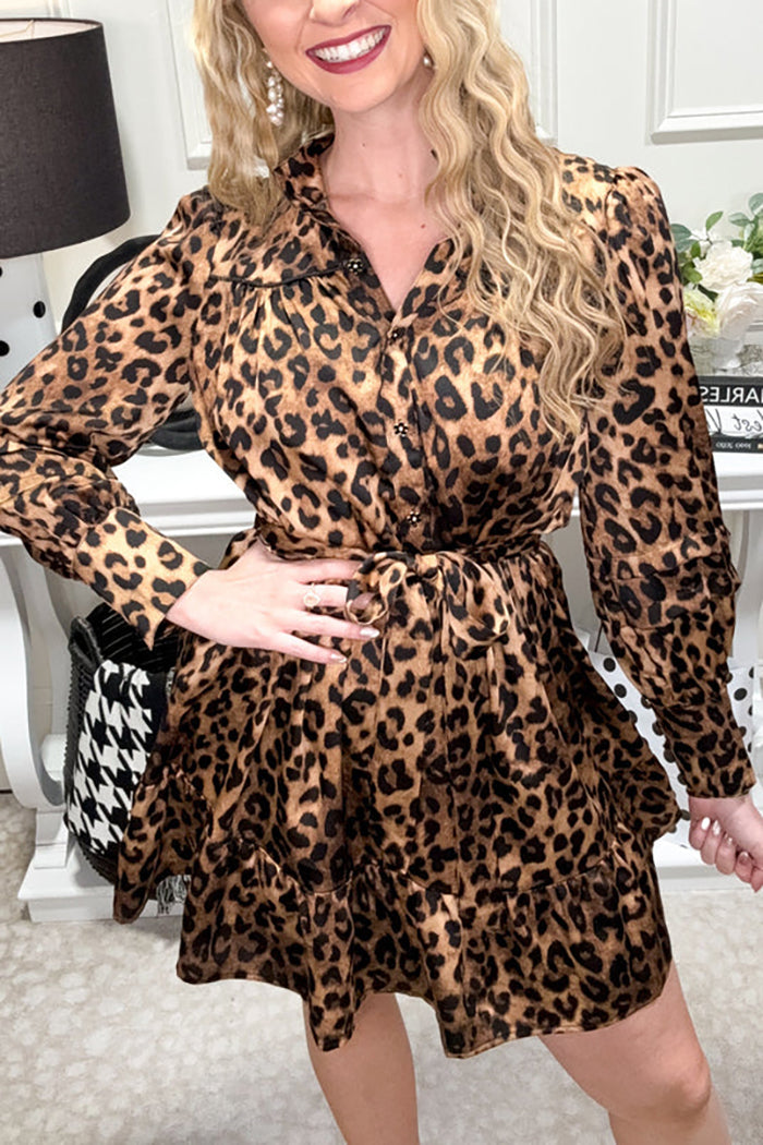 Casual Leopard Print Dress