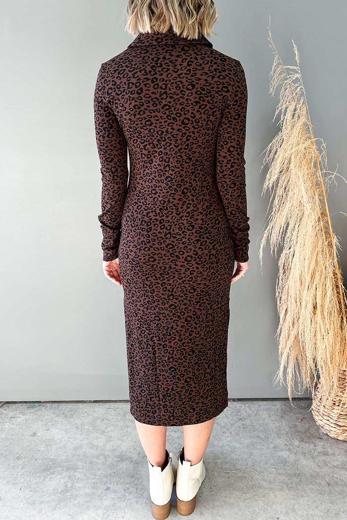 Casual LongSLeeve Leopard Dress