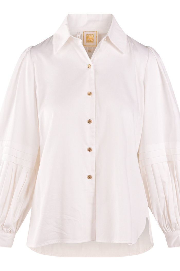 Pleated Sleeves Solid Color Top