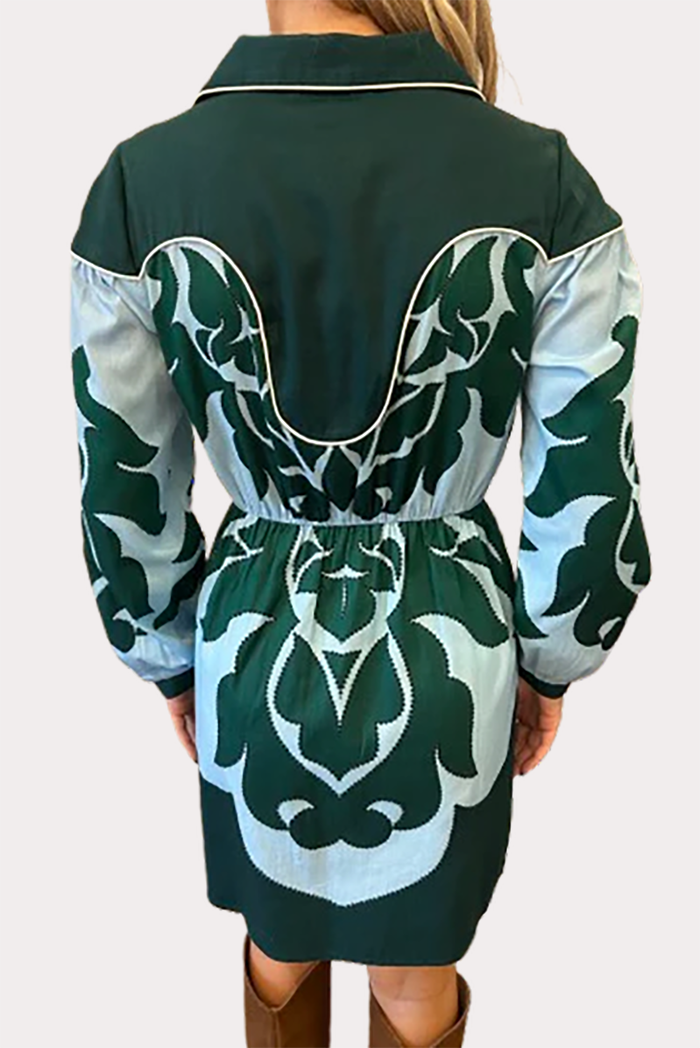 Contrast Pattern Collared Dress