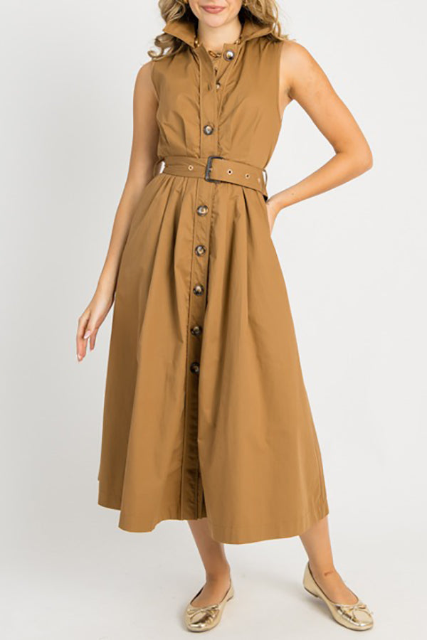 Sophisticated Style Belt Dress