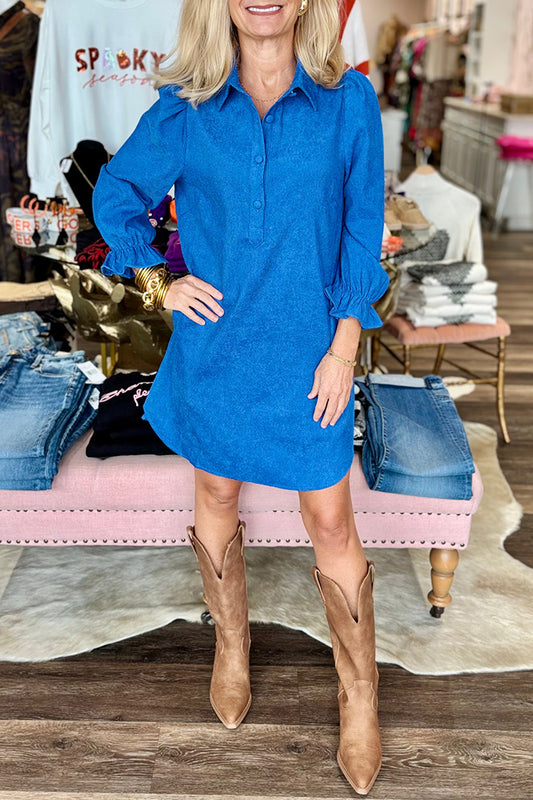 Ruffles Sleeve Placket Collar Dress