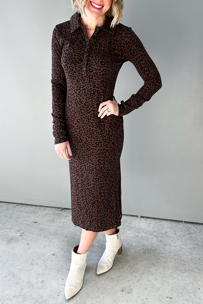 Casual LongSLeeve Leopard Dress