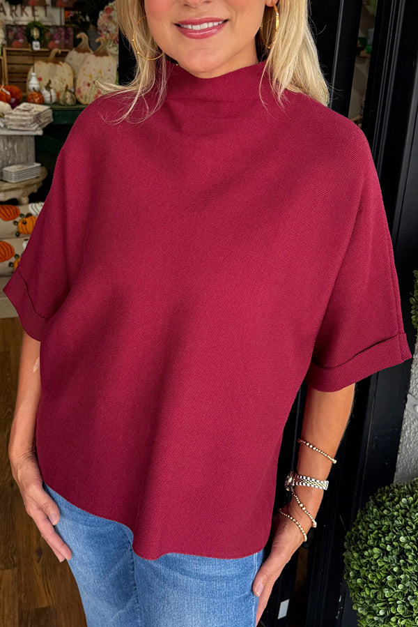 Solid Colored High Neck Sweater