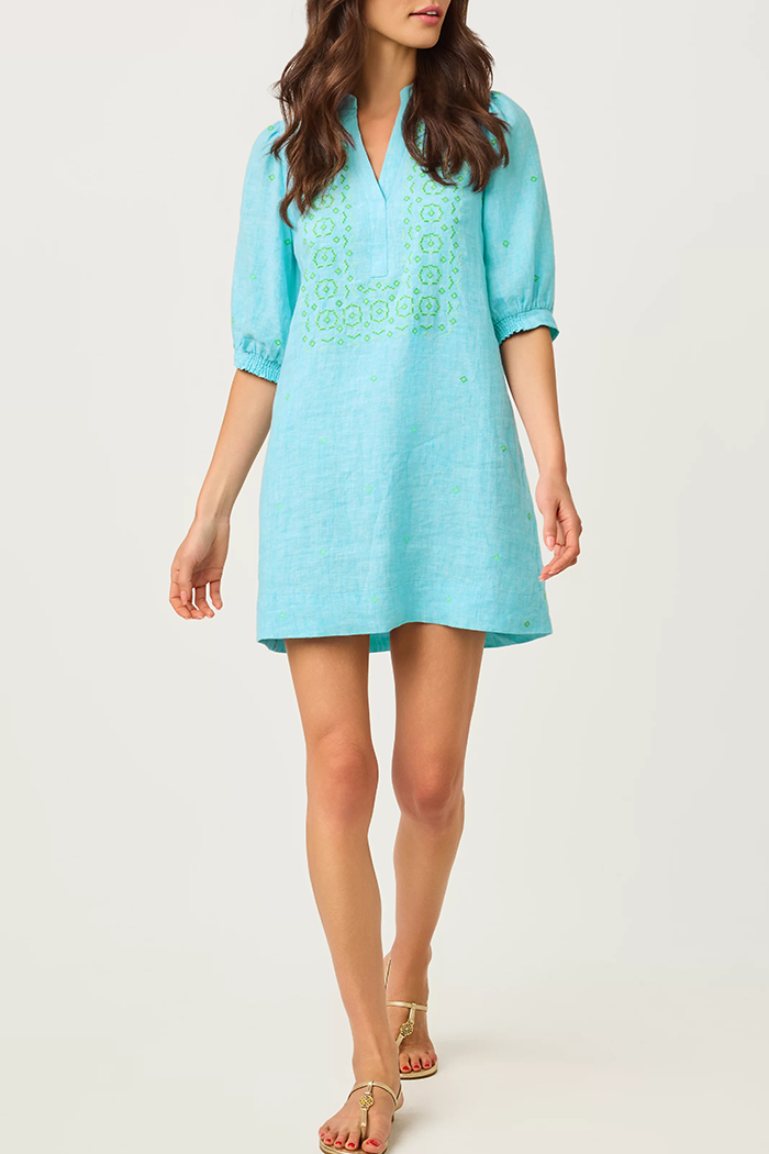 Embroidered Puff Sleeve Dress