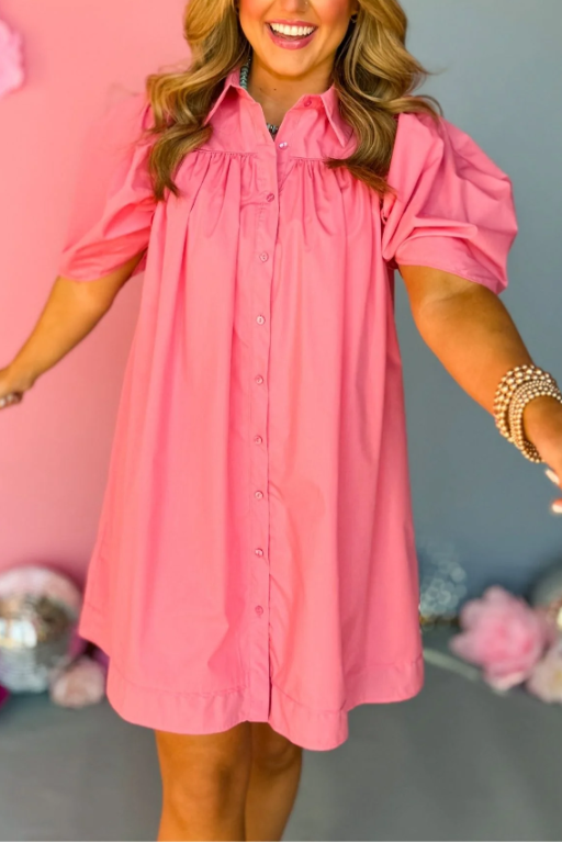 Frill Puff Sleeve Dress