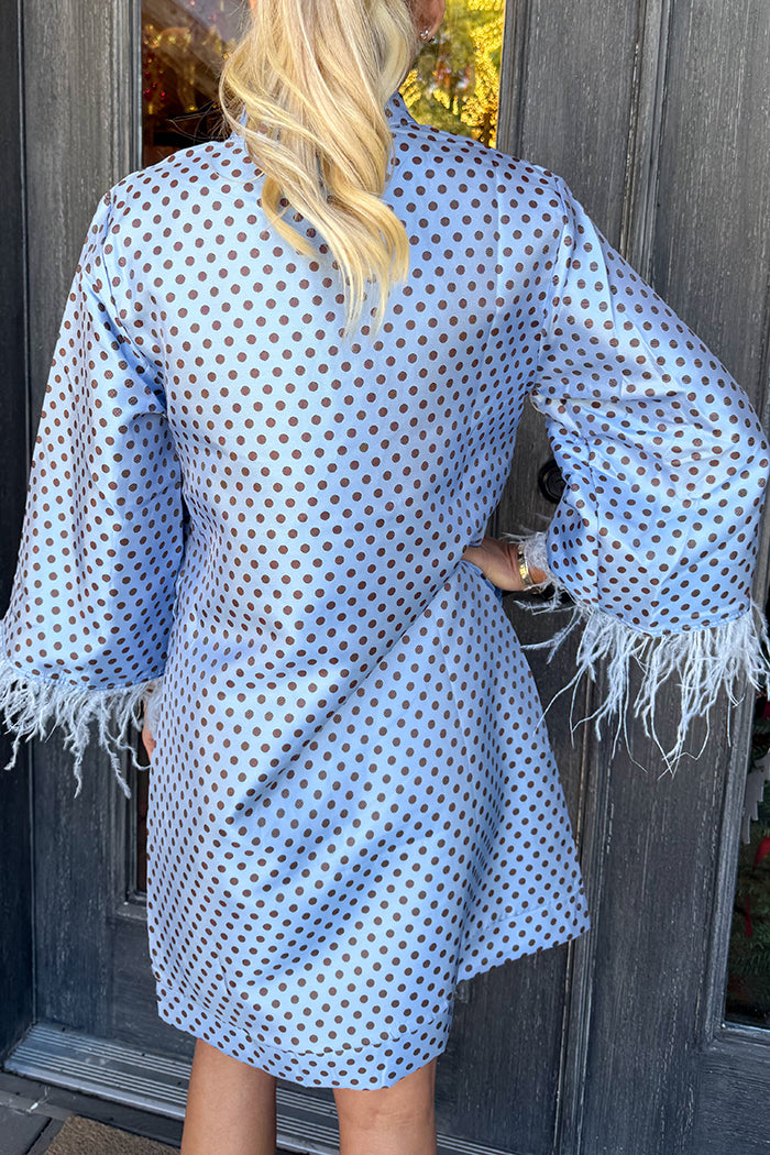 Pale Blue Polkadot Feather Dress
