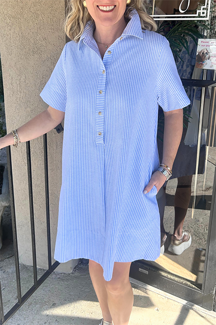 Pin Stripe Pocket Button Dress