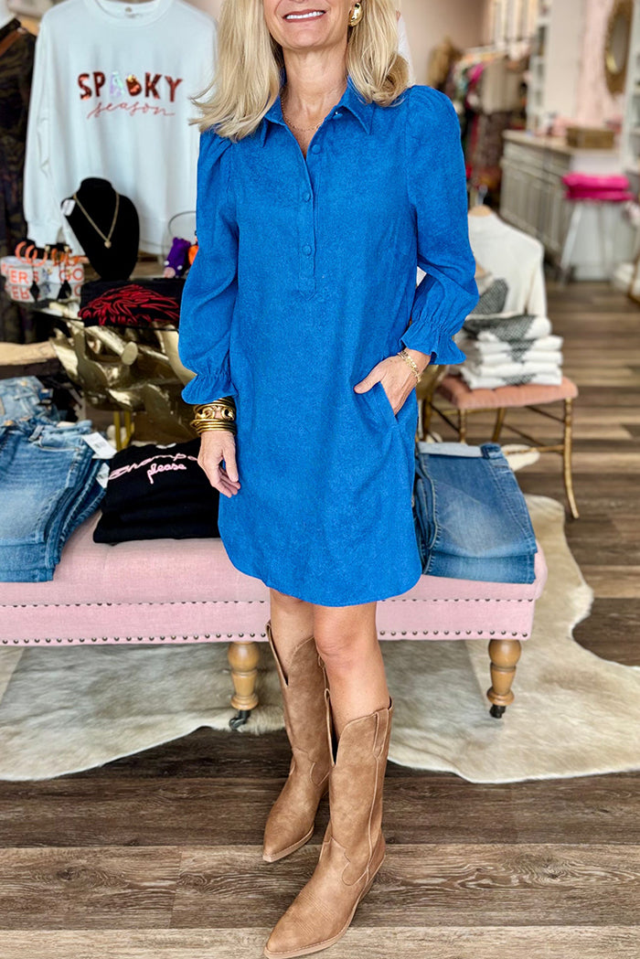 Ruffles Sleeve Placket Collar Dress