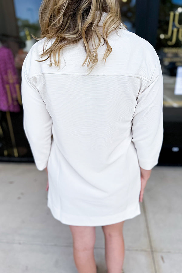 Casual Solid Colors Zip Dress