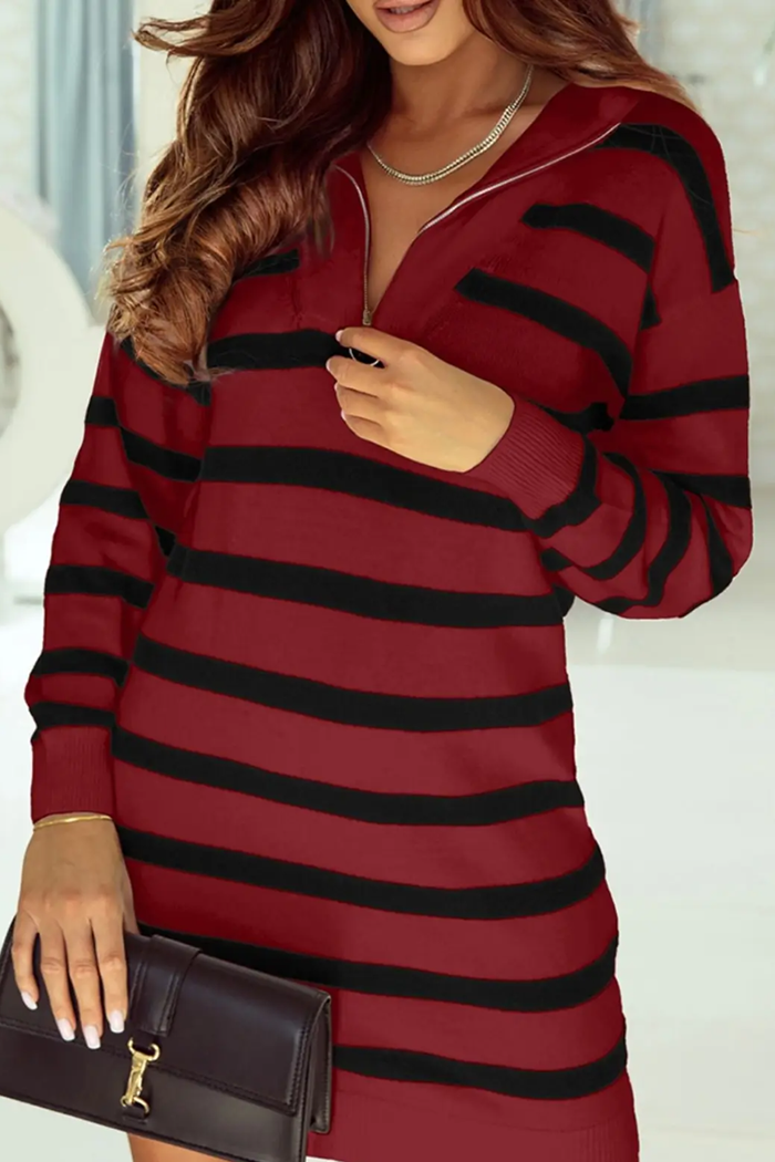 Striped O-ring Zip Sweater Dress