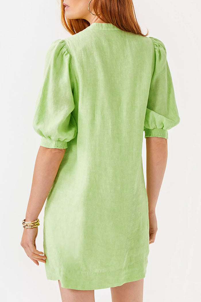 Casual Puff Sleeve Mini Dress