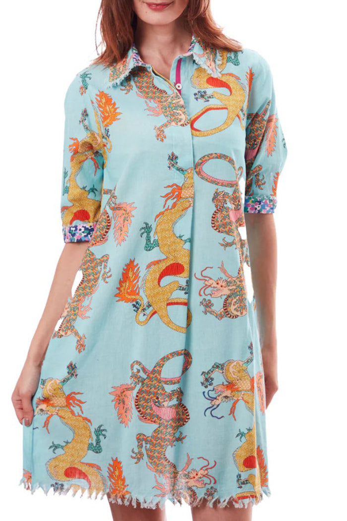 Dragon Pattern Pocket Shirt Dress