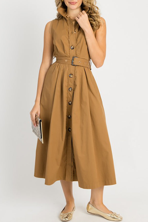 Sophisticated Style Belt Dress