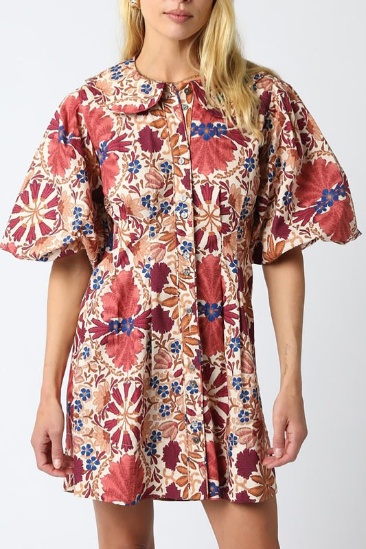 Doll Collar Floral Dress