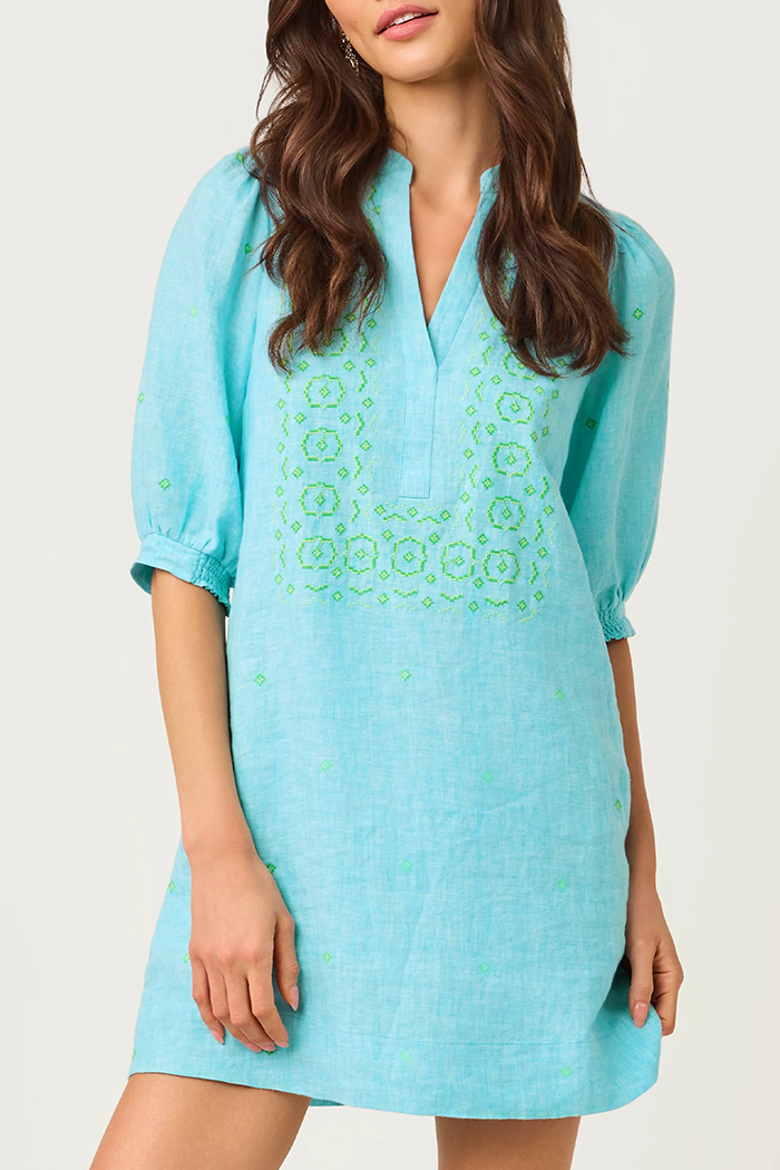 Embroidered Puff Sleeve Dress