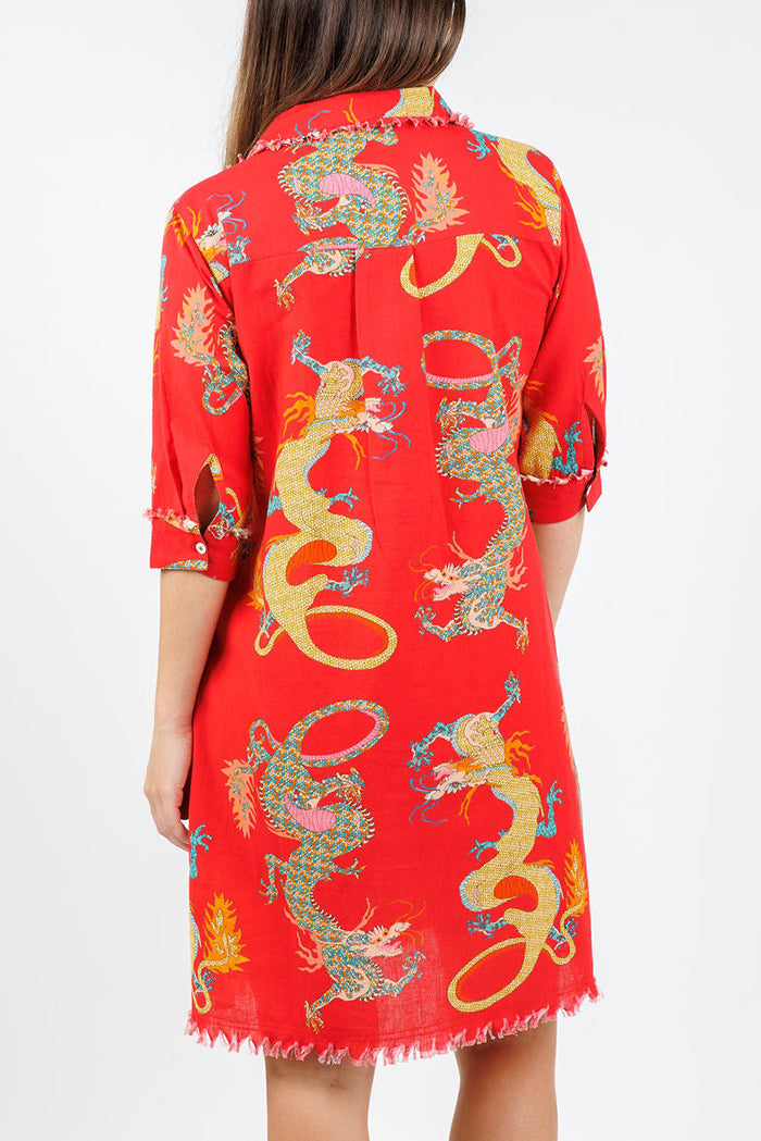 Dragon Pattern Pocket Shirt Dress