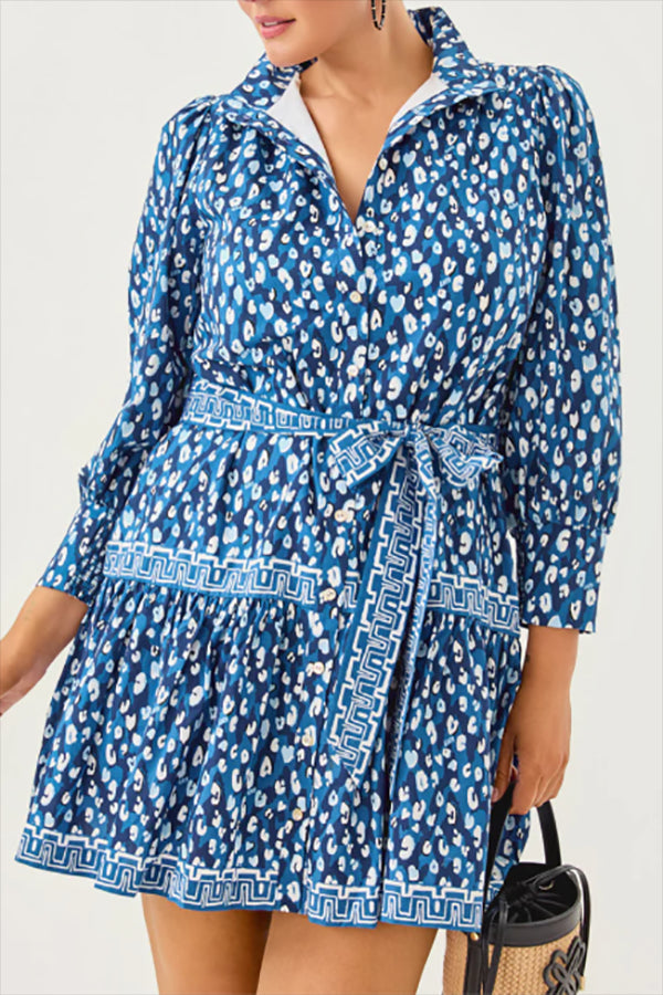 Animal Print Belt Dress