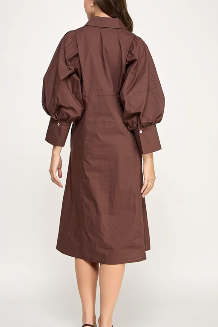 Casual Puff Sleeve Belt Dress