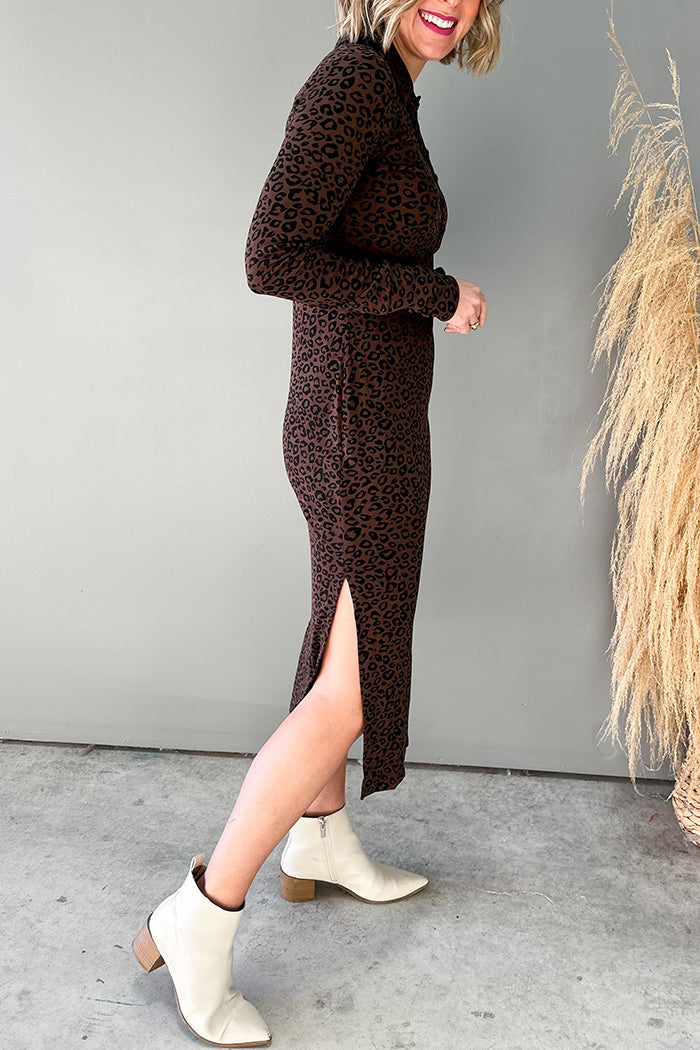 Casual LongSLeeve Leopard Dress