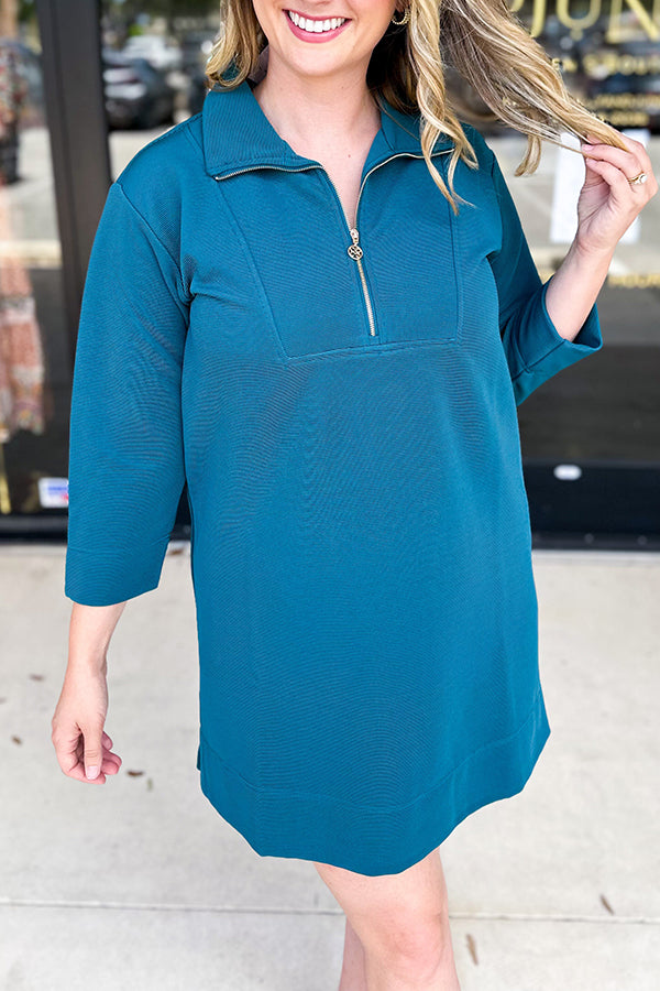 Casual Solid Colors Zip Dress