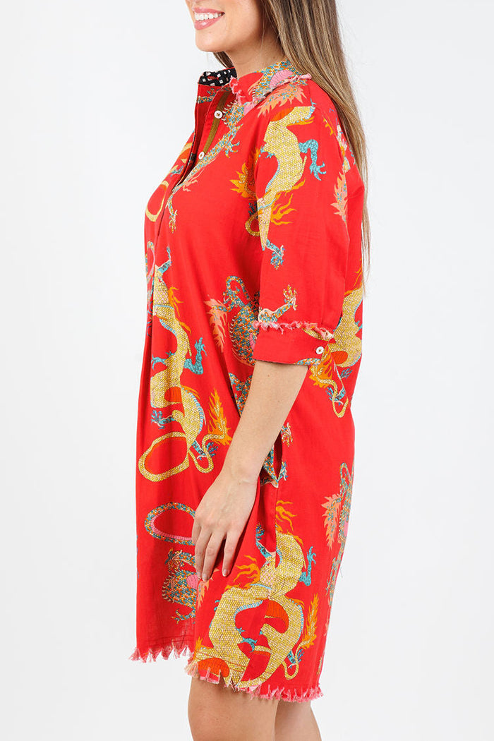 Dragon Pattern Pocket Shirt Dress