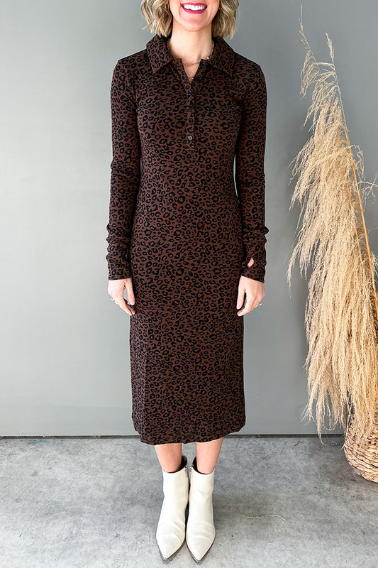 Casual LongSLeeve Leopard Dress