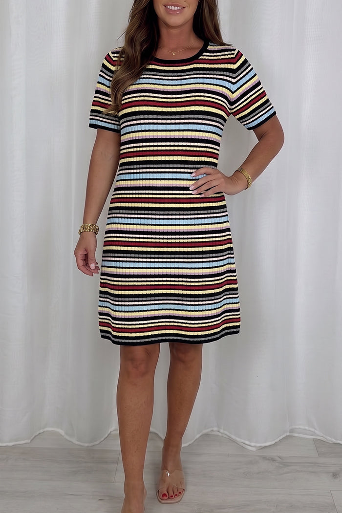 Multicolor Striped Ribbed Knit Dress