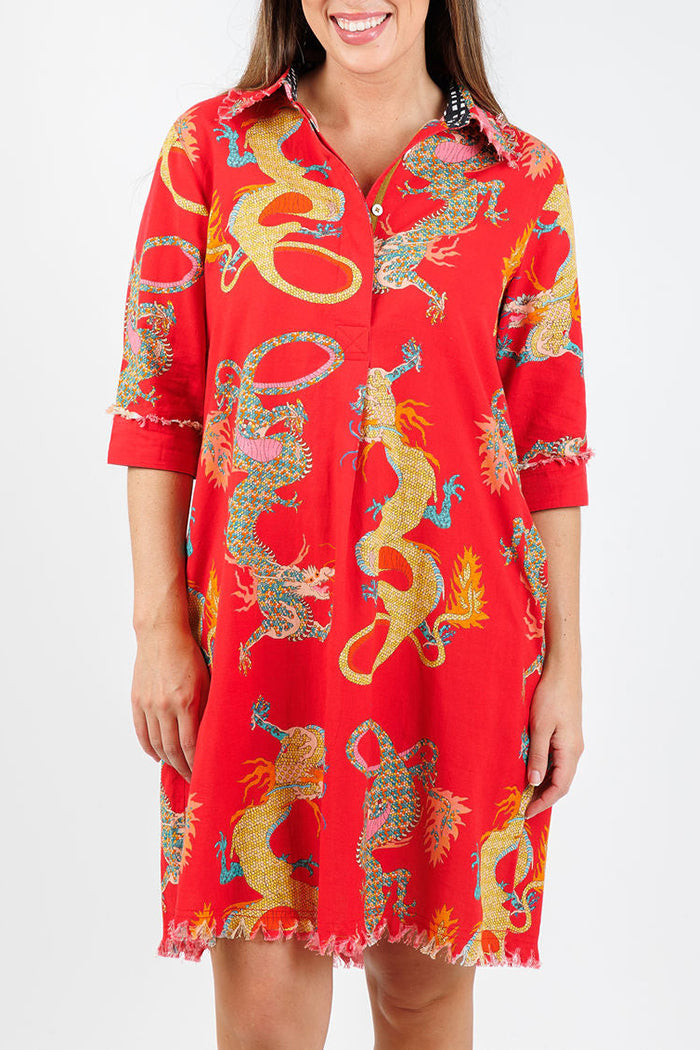 Dragon Pattern Pocket Shirt Dress