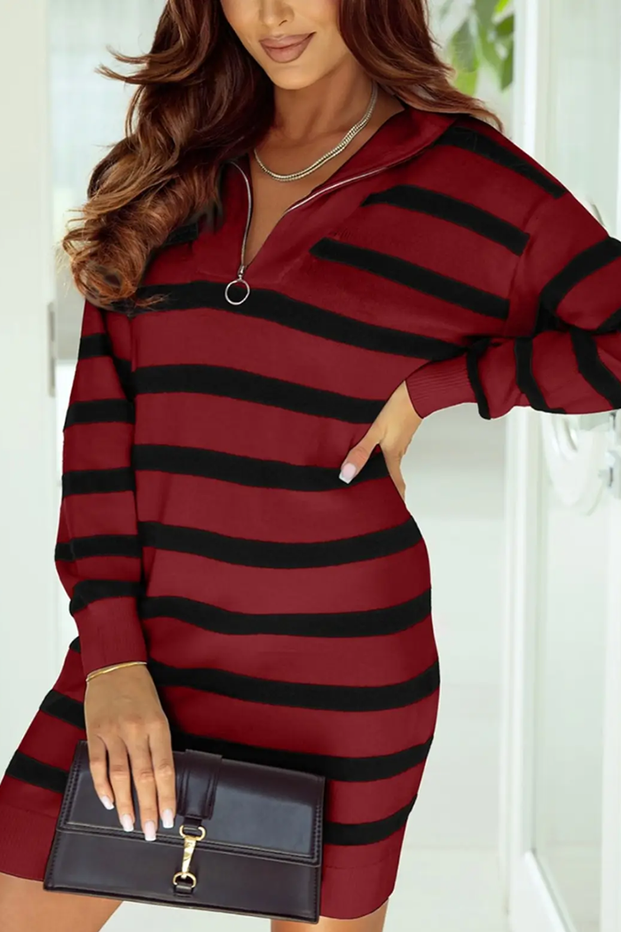 Striped O-ring Zip Sweater Dress
