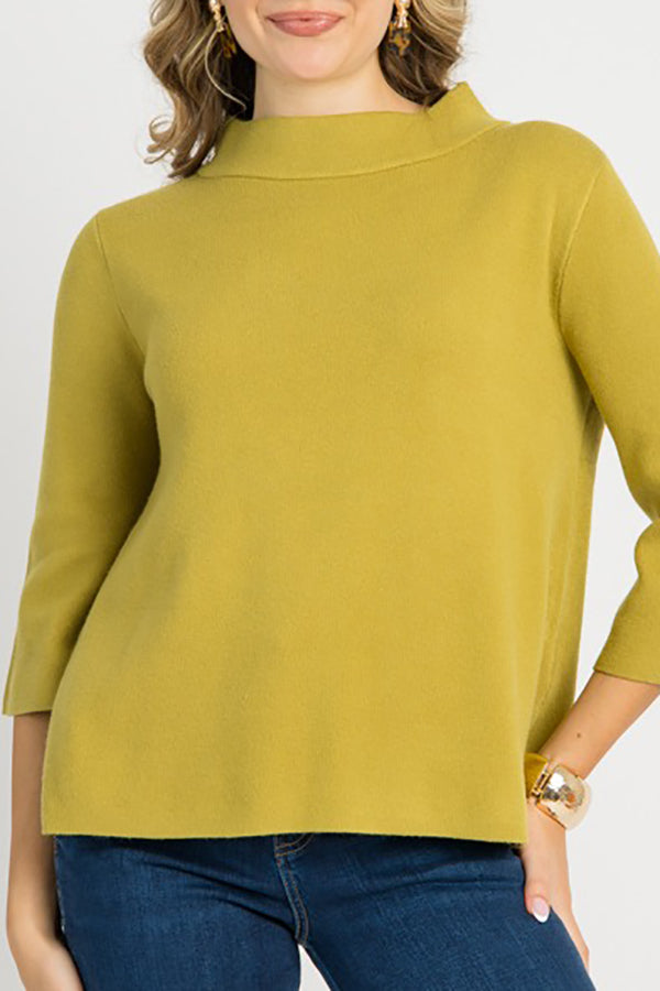 Casual Solid Colors Sweater