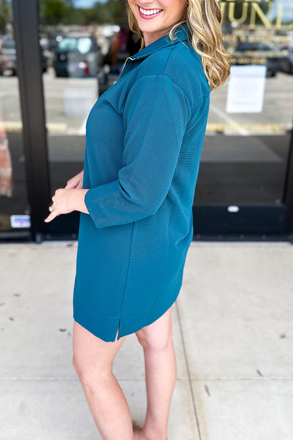 Casual Solid Colors Zip Dress