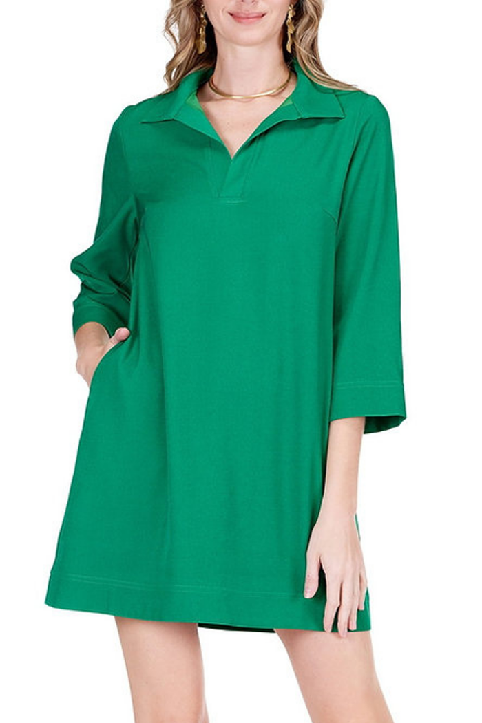 Placket Bell Sleeve Dress